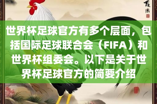 世界杯足球官方有多个层面，包括国际足球联合会（FIFA）和世界杯组委会。以下是关于世界杯足球官方的简要介绍