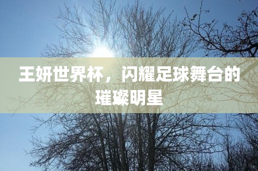 王妍世界杯，闪耀足球舞台的璀璨明星