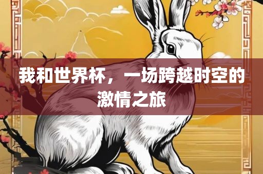我和世界杯，一场跨越时空的激情之旅