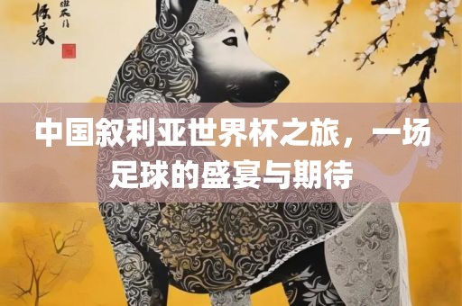 中国叙利亚世界杯之旅，一场足球的盛宴与期待