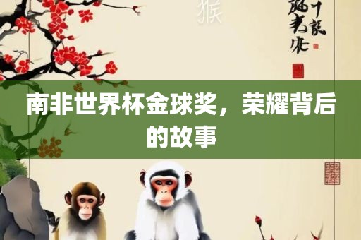 南非世界杯金球奖，荣耀背后的故事