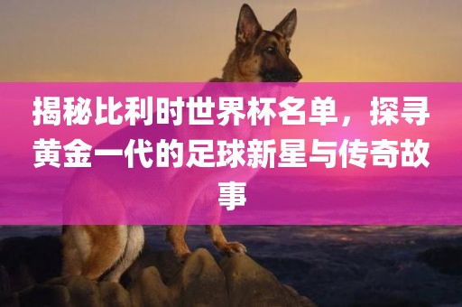 揭秘比利时世界杯名单，探寻黄金一代的足球新星与传奇故事