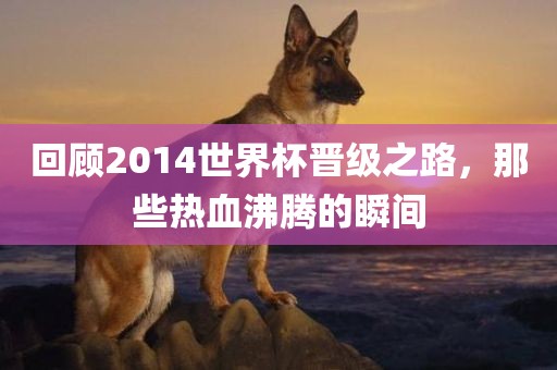 回顾2014世界杯晋级之路，那些热血沸腾的瞬间
