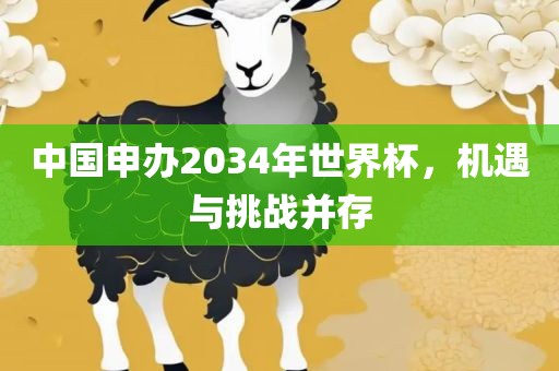 中国申办2034年世界杯，机遇与挑战并存