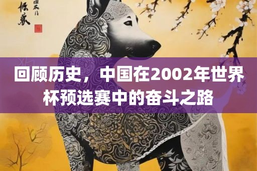 回顾历史，中国在2002年世界杯预选赛中的奋斗之路