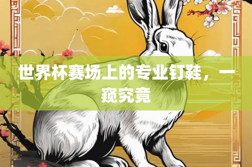 世界杯赛场上的专业钉鞋，一窥究竟