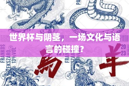 世界杯与阴茎，一场文化与语言的碰撞？