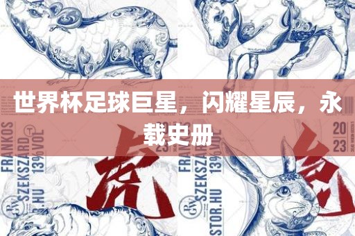 世界杯足球巨星，闪耀星辰，永载史册