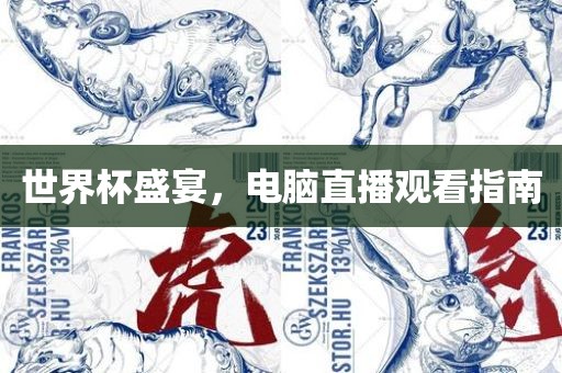 世界杯盛宴，电脑直播观看指南