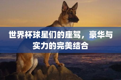 世界杯球星们的座驾，豪华与实力的完美结合