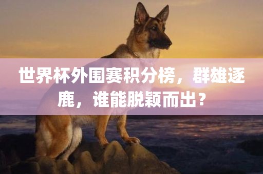 世界杯外围赛积分榜，群雄逐鹿，谁能脱颖而出？