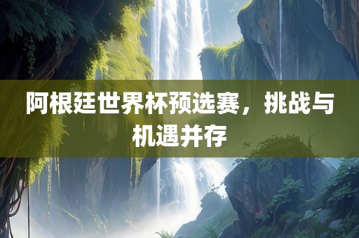 阿根廷世界杯预选赛，挑战与机遇并存