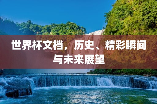 世界杯文档，历史、精彩瞬间与未来展望