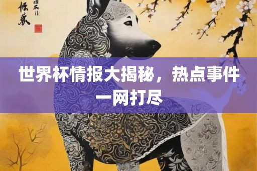 世界杯情报大揭秘，热点事件一网打尽