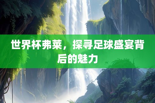 世界杯弗莱，探寻足球盛宴背后的魅力