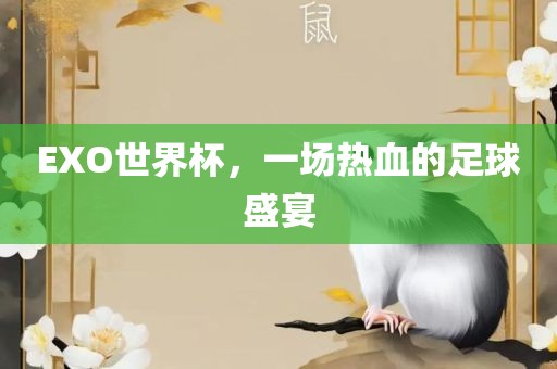 EXO世界杯，一场热血的足球盛宴