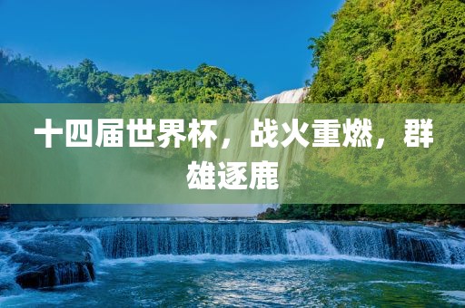 十四届世界杯，战火重燃，群雄逐鹿