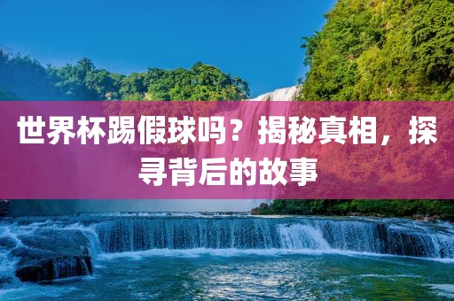 世界杯踢假球吗？揭秘真相，探寻背后的故事