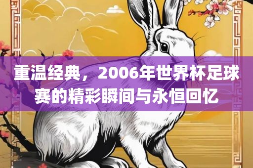 重温经典，2006年世界杯足球赛的精彩瞬间与永恒回忆
