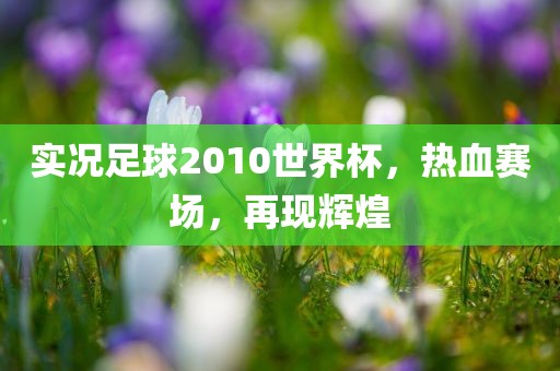 实况足球2010世界杯，热血赛场，再现辉煌