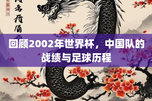 回顾2002年世界杯，中国队的战绩与足球历程