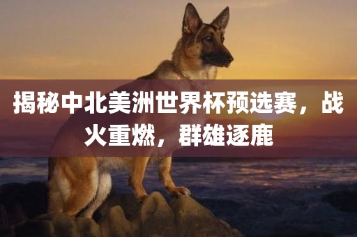 揭秘中北美洲世界杯预选赛，战火重燃，群雄逐鹿