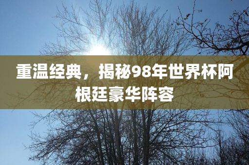 重温经典，揭秘98年世界杯阿根廷豪华阵容