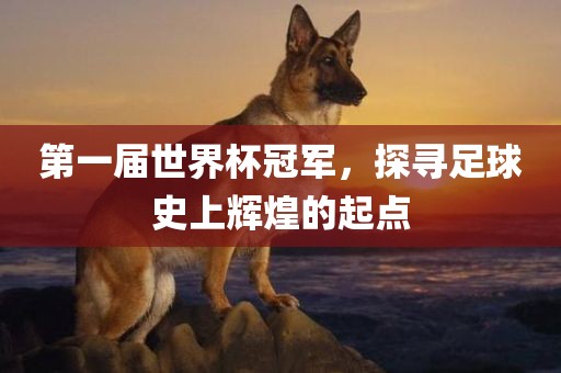 第一届世界杯冠军，探寻足球史上辉煌的起点