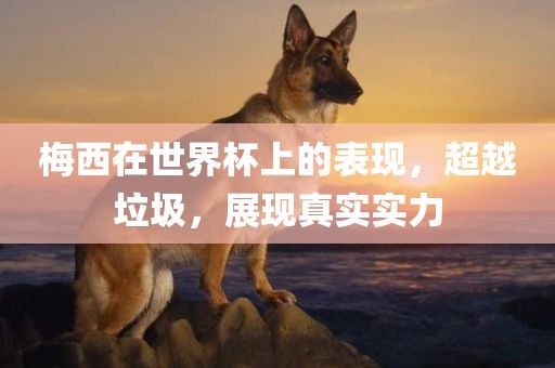 梅西在世界杯上的表现，超越垃圾，展现真实实力