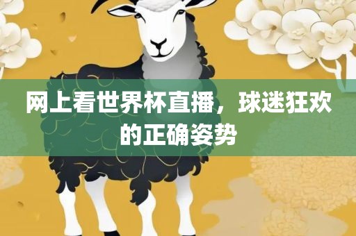 网上看世界杯直播，球迷狂欢的正确姿势