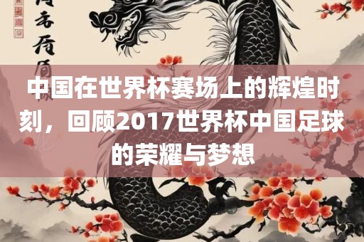 中国在世界杯赛场上的辉煌时刻，回顾2017世界杯中国足球的荣耀与梦想