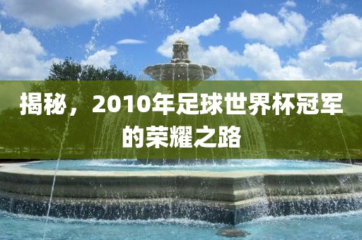 揭秘，2010年足球世界杯冠军的荣耀之路