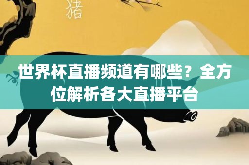 世界杯直播频道有哪些？全方位解析各大直播平台