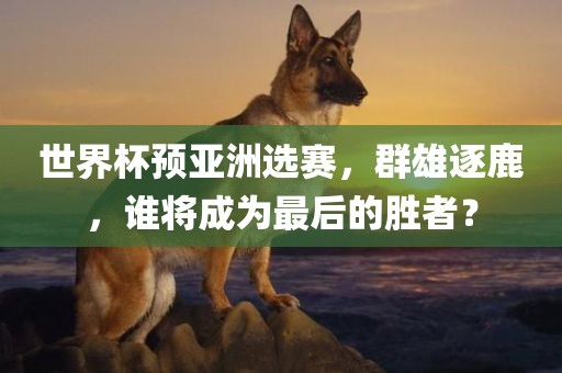 世界杯预亚洲选赛，群雄逐鹿，谁将成为最后的胜者？