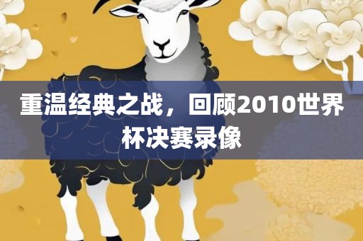 重温经典之战，回顾2010世界杯决赛录像
