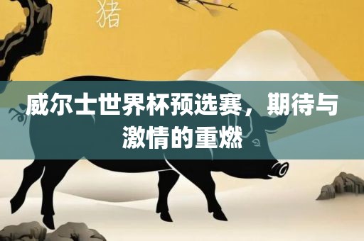 威尔士世界杯预选赛，期待与激情的重燃