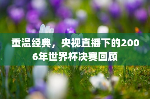 重温经典，央视直播下的2006年世界杯决赛回顾