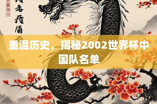 重温历史，揭秘2002世界杯中国队名单