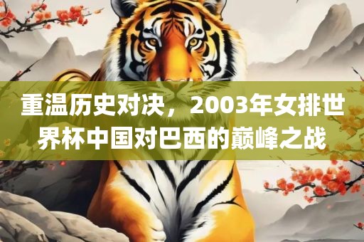 重温历史对决，2003年女排世界杯中国对巴西的巅峰之战