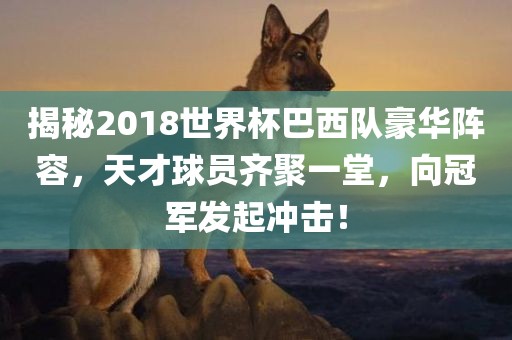 揭秘2018世界杯巴西队豪华阵容，天才球员齐聚一堂，向冠军发起冲击！