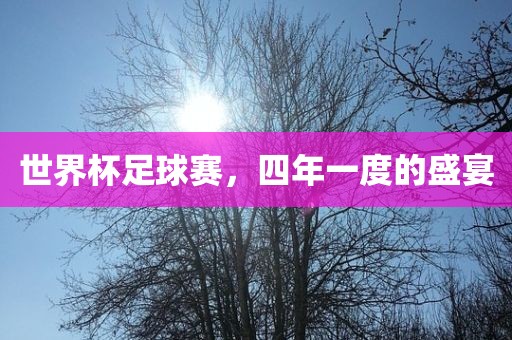 世界杯足球赛，四年一度的盛宴