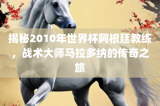 揭秘2010年世界杯阿根廷教练，战术大师马拉多纳的传奇之旅