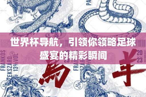 世界杯导航，引领你领略足球盛宴的精彩瞬间