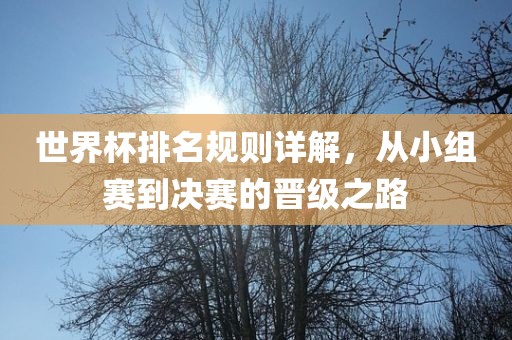 世界杯排名规则详解，从小组赛到决赛的晋级之路