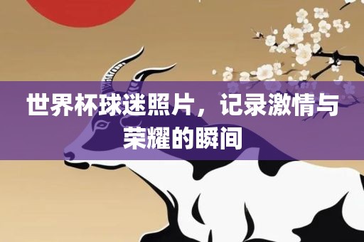 世界杯球迷照片，记录激情与荣耀的瞬间