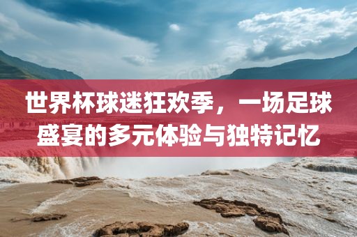 世界杯球迷狂欢季，一场足球盛宴的多元体验与独特记忆