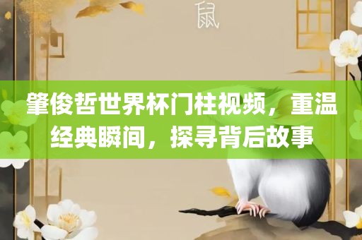 肇俊哲世界杯门柱视频，重温经典瞬间，探寻背后故事