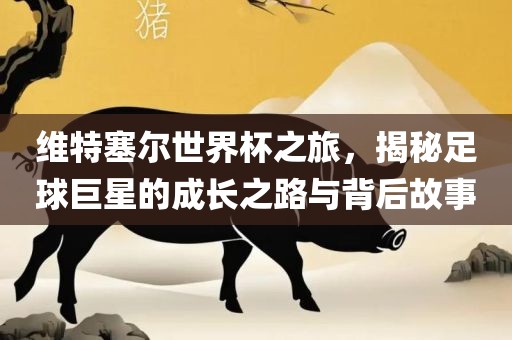 维特塞尔世界杯之旅，揭秘足球巨星的成长之路与背后故事