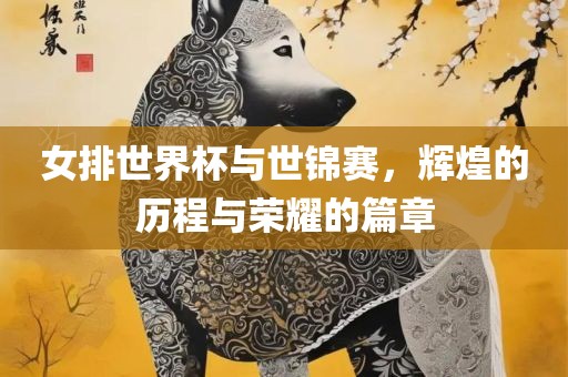 女排世界杯与世锦赛，辉煌的历程与荣耀的篇章