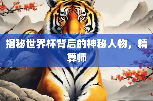 揭秘世界杯背后的神秘人物，精算师